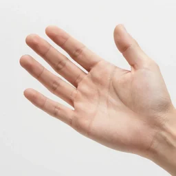 A hand that was took
