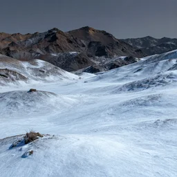 highly detailed matte painting of a glistening snowy landscape by atey ghailan, by greg rutkowski, by greg tocchini, by james gilliard, by joe fenton, blue, brown, black and light blue color scheme, octane render