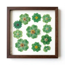 emerald green pressed flowers in frame, 8k product photo, isolated on a pure white background, centered, entire object in frame, sharp focus, soft studio lighting