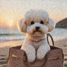 a closeup photorealistic photograph of a bichon frise sitting in a Hermes handbag at the beach during sunset This 4K HD image is Trending on Artstation, featured on Behance, well-rendered, extra crisp, features intricate detail and the style of Unreal Engine.