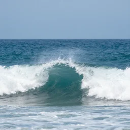waveya ari