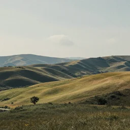 a random landscape by random artist