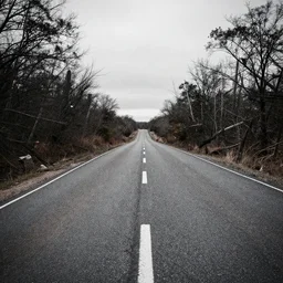 destruction leads to a very rough road but it also breeds creation,