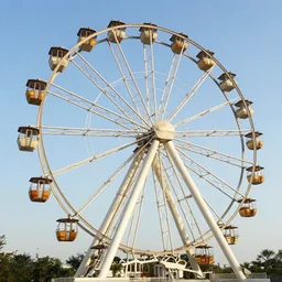 A ferris-wheel made from bones