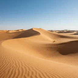 desert dreamscape