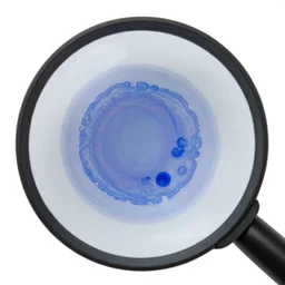 magnified 1 0 0 x, and stained with h & e ( hematoxylin and eosin ) staining technique