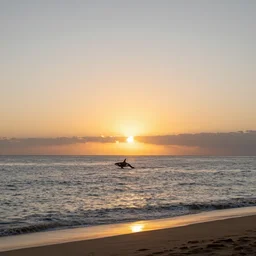 landscape photography by joel sartore of the setting sun on the beach in hawaii, orca breaching in the distance