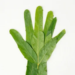 a green hand made out of leaves