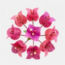 A 3D reconstruction of a flowers Bougainvillea with 10 pedals evenly dispersed and Stamens in the center, rendered in Unity, 3ds Max Design, Blender, and Maya