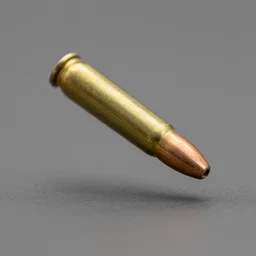 bullet in flight