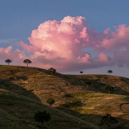 a beautiful hilly landscape. little trees. evening sky. pink puffy cotton candy clouds. evening light. chiho Aoshima.