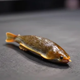 award winning sports photography of a slug boxing match