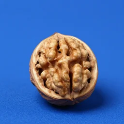 a walnut having lunch with the color blue.
