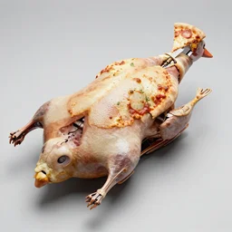 biomechanical pizza duck