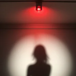 red light from above shines through and casts the shape of her shadow on the floor below