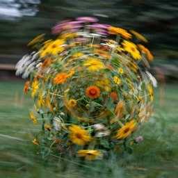 long exposure slitscan image of flowers twisting round and round, shot from the side, slit - scan, slitscan, by ted kinsman
