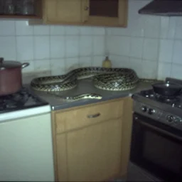 a big snake in a stalinist style kitchen, by mini dv camera, very very low quality, heavy grain, very blurry, accidental flash, webcam footage, found footage, security cam, caught on trail cam