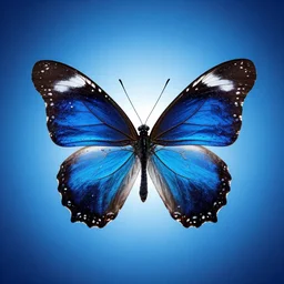 photo still of a water butterfly, 8 k, studio lighting, blue radial gradient background, droplets on the edges