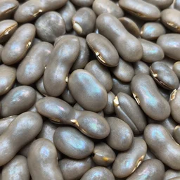 cool beans, iridescent, subsurface scatter