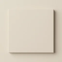 a picture of nothing