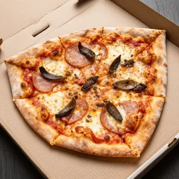 a triangular pizza, full of toppings
