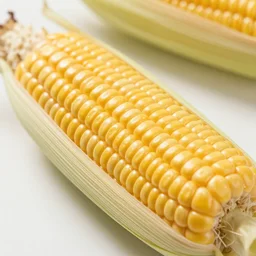 jennifer connelly inside a piece of corn
