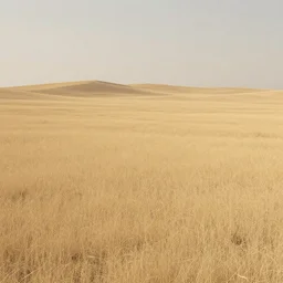 dry colorless prairie, matte painting, concept art, 4 k