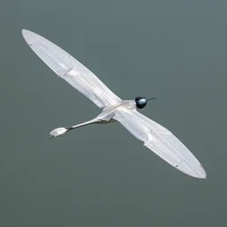 ornithopter