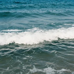 photo of waves in the sea, film photography