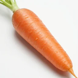 high resolution photo of a carrot, michelin star, very tasty, food photography, instagram, trending