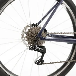 A bicycle with so many speeds. Like, so many.