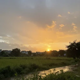 a rain moment at sunset in summer, nature photography, 4 k, high quality