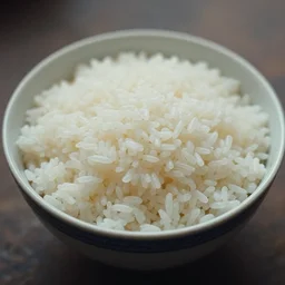 bowl of rice from the 1 9 8 0's with no furniture. nostalgia, film photo, soft lighting