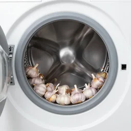 washing machine filled with garlic cloves, studio lighting