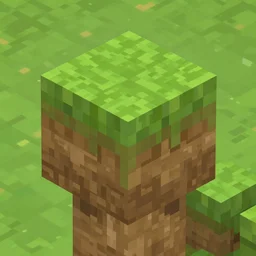 The top of a Minecraft grass block