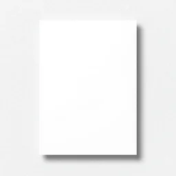 blank white image