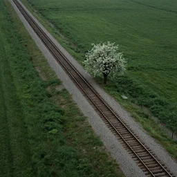 isolated train tracks with a apple tree on the side, bird - eye view, long shot, eeire, morbid, uncanny, unsettling, 1 9 8 0