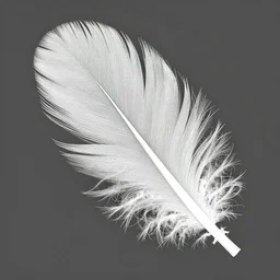 fractal of feathers