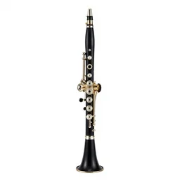 velvet clarinet, 8k product photo, isolated on a pure white background, centered, entire object in frame, sharp focus, soft studio lighting
