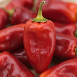 hottest pepper known to mankind, plant fruit, spicy, close shot photography infernal spice, pepper from hell