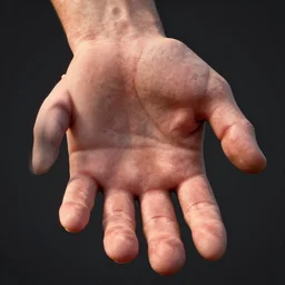 photorealistic high detail illustration of a hand, subsurface scattering, 8 k, hdr