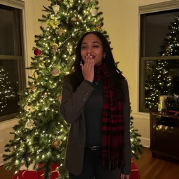 i am become christmas, destroyer of worlds