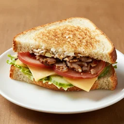 a subway large sandwich on a plate