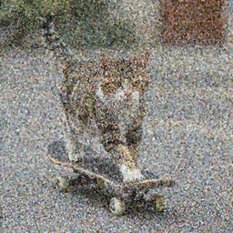 cat riding a skateboard in street