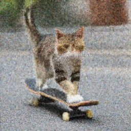 cat riding a skateboard in street
