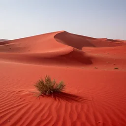 red desert
