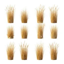 2 d sprite sheet of dry desert grass clumps, game asset, white background, highly detailed, 4 k