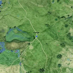 miniature, h0, 1:87, Meadow, pathes, google earth, highly detailed, satellite image, game map, casual game, anno 1602, landscape