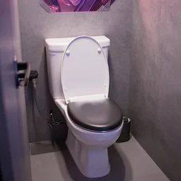 esports toilet