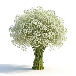 giant baby's breath, stylized pixar-style 3d render, full body, isolated on a pure white background, centered, entire subject in frame, sharp focus, soft studio lighting